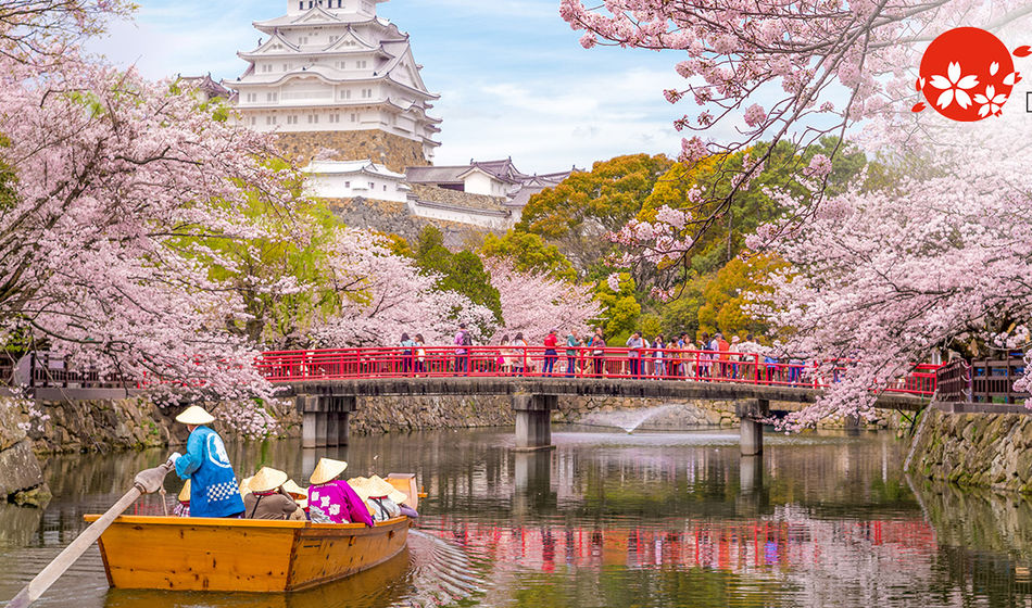 Boat ride on the moat of Himeji Castle with cherry blossoms in Japan.