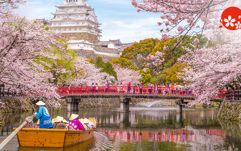 Boat ride on the moat of Himeji Castle with cherry blossoms in Japan.