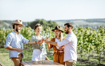 Travel advisors can book wine tastings.