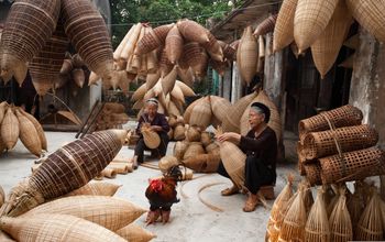 Collette, vietnam, basket weavers, vietnamese culture