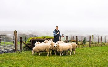 Contiki Releases Portfolio of 2026 Europe Tours