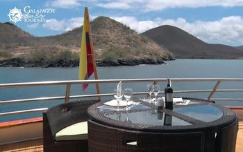 Cruise the Galapagos With Latin Trails