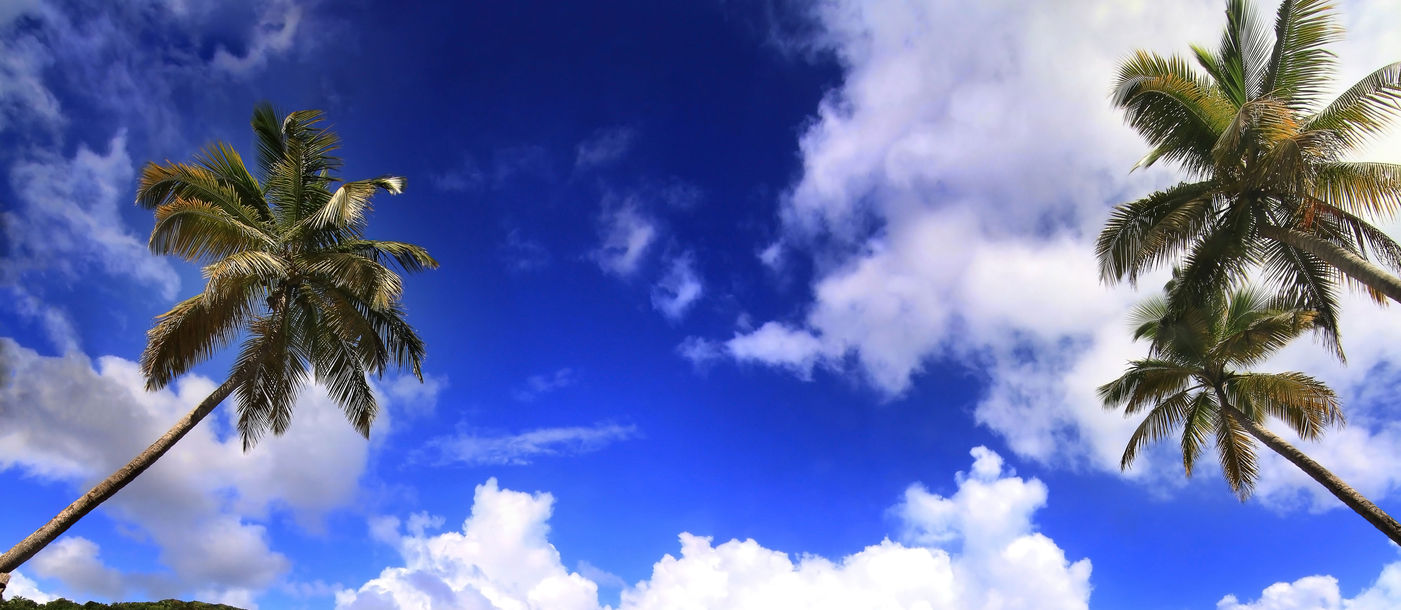Beautiful beach in Dominica (photo via gydyt0jas / iStock / Getty Images Plus)