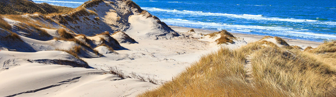 Dunes at the northern sea near Skagen, Denmark