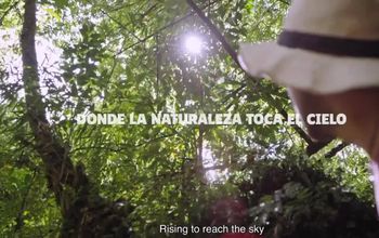 Eclipse 2020: Connect with the Power of Nature