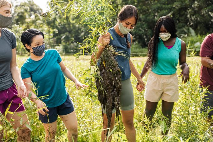 Gardening in Hawaii Gardening in Hawaii, Malama Hawaii, Responsible travel, eco-friendly travel, Hawaii travel