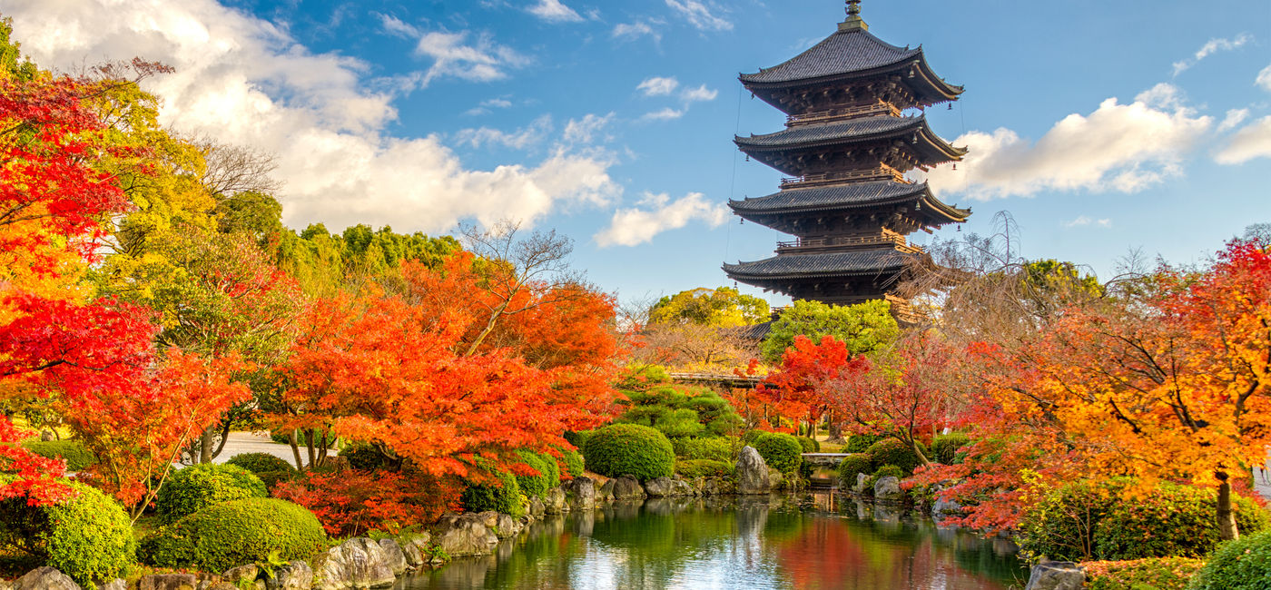 Image: The October sale applies to Exodus' global destinations. Pictured, Kyoto. (Source: Courtesy AdobeStock)