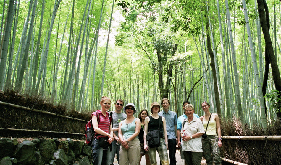 InsideJapan Tours, tours in Japan, Japan, Kyoto, japan tours, arashiyama, bamboo, bamboo forest