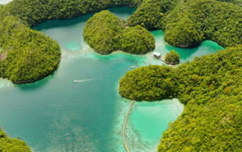 Travel to the Philippines with Air Canada.