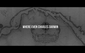 Now it's your turn. CHOOSE CHILE