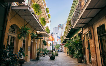 Explore New Orleans in the summer.