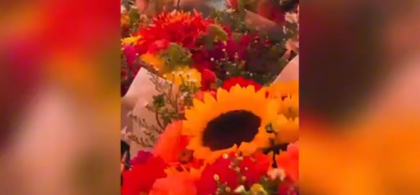 Photo: (Courtesy of Northstar Travel Group)