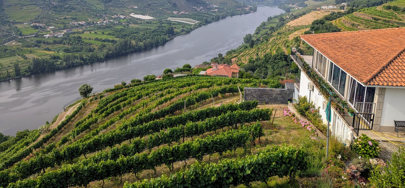 Photo: Portugal's Duoro Valley (Photo Credit: Lauren Bowman)