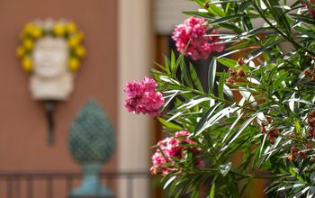 PONANT EXPLORATIONS and Smithsonian Journeys are offering ocean cruises together in 2027