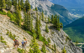 TTC tour brands, canada tours