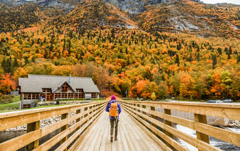 Autumn nature hiker walking in national park in Quebec