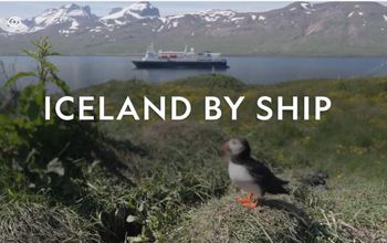 What to Expect: Iceland Expedition by Ship